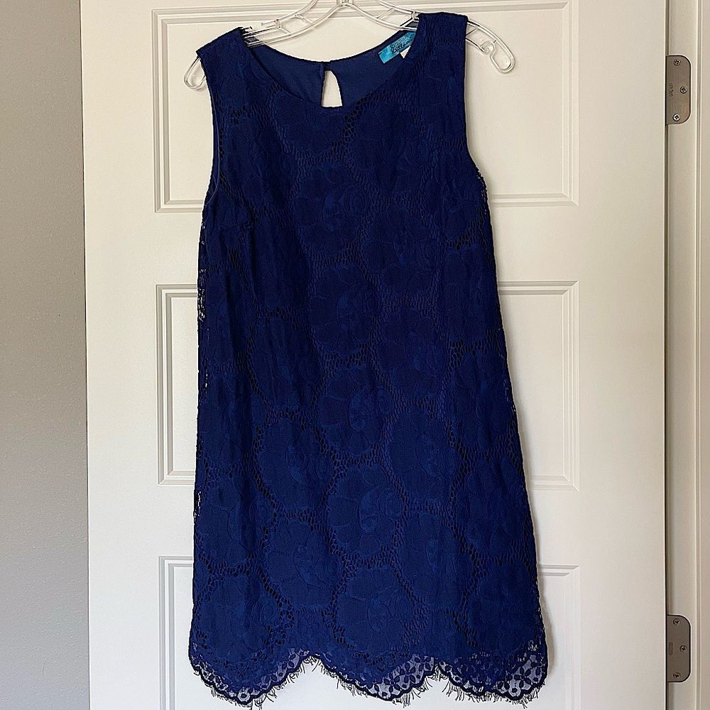Francesca’s Collections Navy Blue Lace Sleeveless Sun Dress A-line Medium